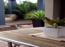Kwikfynd Verandahs
coconuts